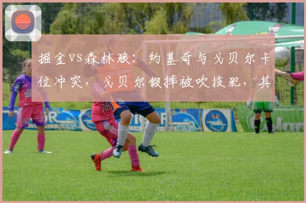 掘金vs森林狼:约基奇与戈贝尔卡位冲突,戈贝尔假摔被吹技犯,其假摔次数领跑联盟