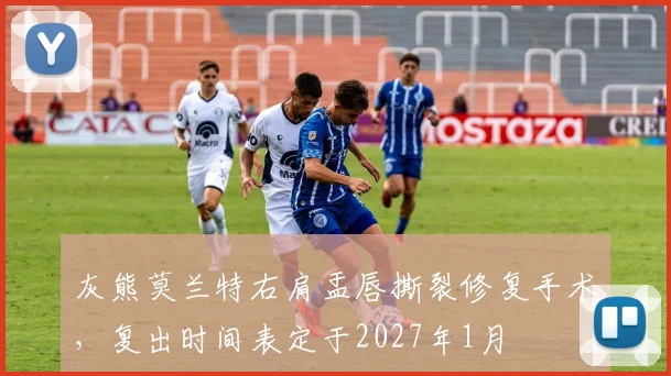 灰熊莫兰特右肩盂唇撕裂修复手术，复出时间表定于2027年1月