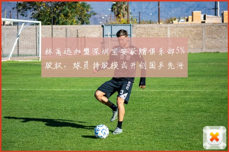 林高远加盟深圳宝安获赠俱乐部5%股权，球员持股模式开创国乒先河引效仿__br_