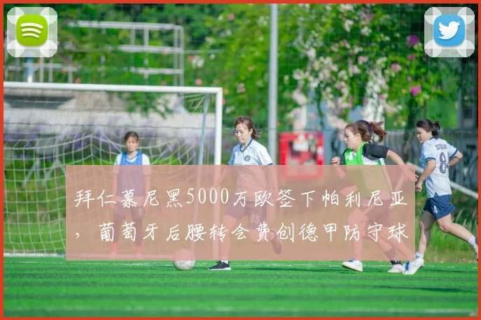 拜仁慕尼黑5000万欧签下帕利尼亚,葡萄牙后腰转会费创德甲防守球员纪录