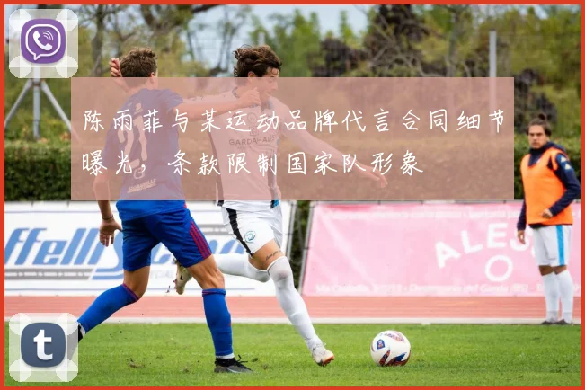 陈雨菲与某运动品牌代言合同细节曝光，条款限制国家队形象